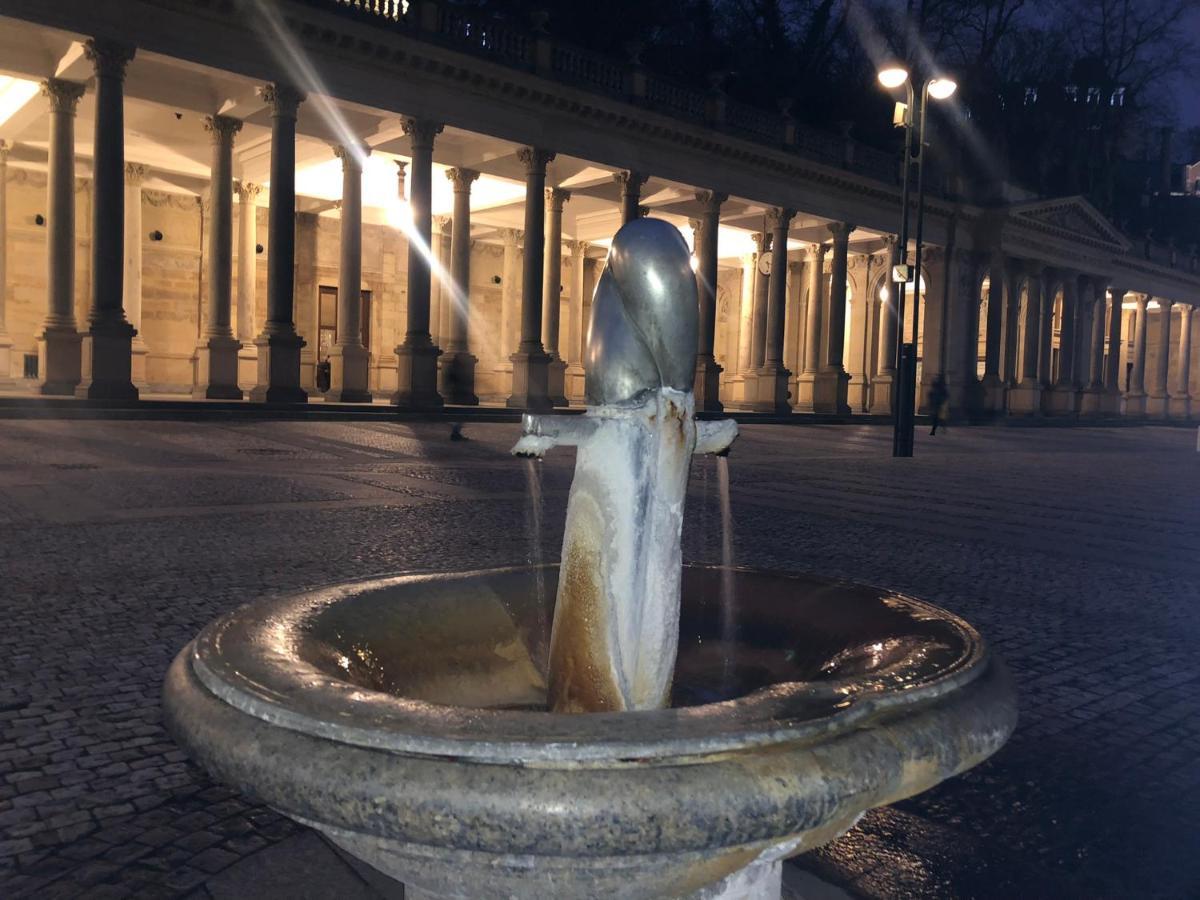 Apartment Bohemia Karlovy Vary Dış mekan fotoğraf